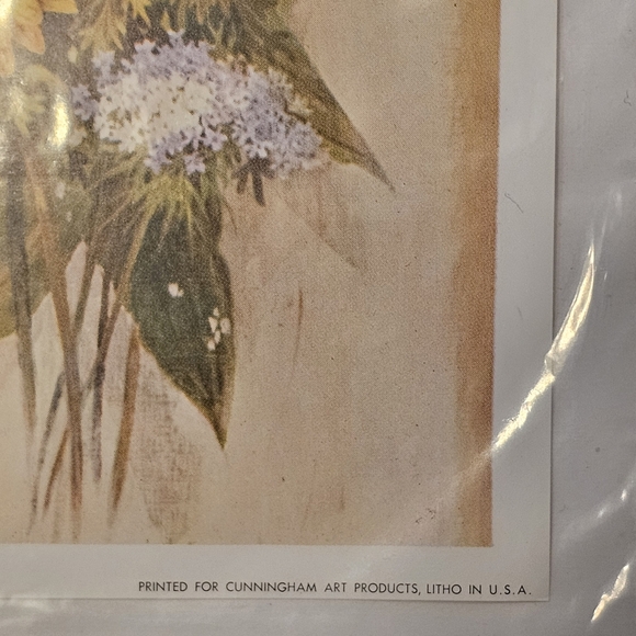 VTG 1966 Art Treasures Print by Robert Laessig - ANA 13" x 5" Framing Decoupage - Picture 5 of 7